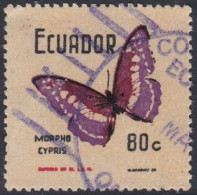 Morpho Cypris - 1970 - Equateur