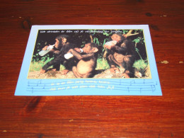 76509-          CA. 12,5 X 17,5 CM. CARD - APEN / APES / AFFEN / SINGES / SIMIOS - Affen