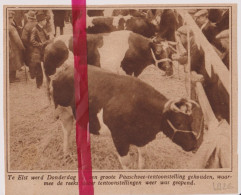 Elst - Paas Vee Tentoonstelling - Orig. Knipsel Coupure Tijdschrift Magazine - 1926 - Non Classés