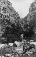 Cpa Carte Photo Gorges Du Loup 06 Photo Richard Cannes - Sonstige & Ohne Zuordnung