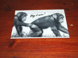 76513-          CA. 11,5  X 15,5 CM. CARD - APEN / APES / AFFEN / SINGES / SIMIOS - Monkeys