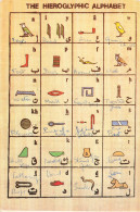 EGYPTE - Musées - The Hieroglyphic Alphabet - Carte Postale - Musées