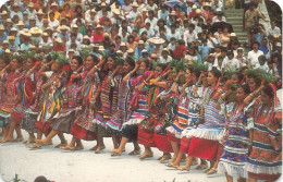 MEXIQUE - Oaxaca - Reéion De Tuxtepec - Animé - Colorisé - Carte Postale - México