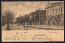 AK Wels, In Der Volksgartenstrasse  - Other & Unclassified