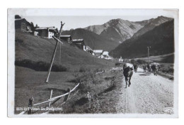 Le Hameau De LA CHALP Entre Les Villages De SAINT VÉRAN Et De Molines-en-Queyras - Paysan Et Son Troupeau - Animée - Other & Unclassified