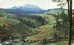 MEXIQUE - A Pretty Pastoral Scene Of Toluca "Nevado" - Colorisé - Carte Postale - Mexico