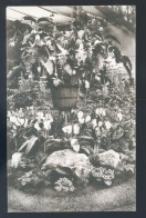 1124 - BELGIQUE - Floralies Gantoises 1938 - Gent