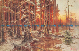 R115450 J. Klewer Pinx. Sunset In The Wood - World