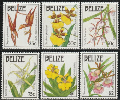 THEMATIC FLORA:  ORCHIDS OF BELIZE.  GONGORA, ONCIDIUM, ENCYCLIA, EPIDENDRUM CILIARE  ETC     6v     -    BELIZE - Orquideas