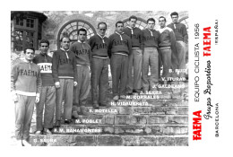 PHOTO CYCLISME REENFORCE GRAND QUALITÉ ( NO CARTE ), GROUPE TEAM FAEMA 1956 - Radsport