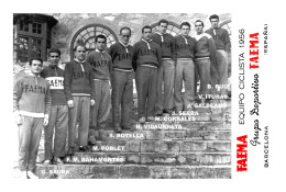 PHOTO CYCLISME REENFORCE GRAND QUALITÉ ( NO CARTE ), GROUPE TEAM FAEMA 1956 - Cycling