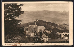 AK Bad Gräfenberg, Priessnitz-Sanatorium Vom Wald Gesehen  - Tsjechië