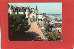 37----Château D' AMBOISE--le Château Et La Loire--voir 2 Scans - Amboise