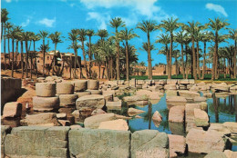 EGYPTE - Memphis - Ruines Du Grand Temple De Ptah - Ancien Empire - Carte Postale - El Cairo