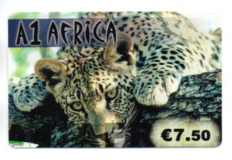 Panthère Félin Africa Carte Prépayée France  Card  Karte (K 437) - Andere & Zonder Classificatie