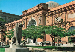 EGYPTE - Cairo - Epyptian Museum - Carte Postale - Le Caire