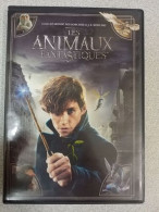 DVD - Les Animaux Fantastiques (J. K. Rowling) - Andere & Zonder Classificatie