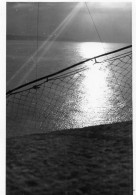 Photographie Vintage Photo Snapshot Filet Pêche Fishing - Boten