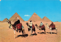EGYPTE - Giza - Arab Cameluders In Front Of The Pyramids - Carte Postale - Guiza