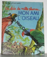 Au Clair De Mille Plumes. Mon Ami L'oiseau - Other & Unclassified