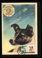 AK Année Géophysicale Internationale 1957 /58, Hündin Laika, Raumfahrt  - Ruimtevaart