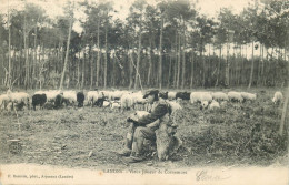 LANDES  Vieux Joueur De Cornemuse - Otros & Sin Clasificación