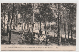 Pornichet Les Pins - Rond Point Du Renard Au Bois D'amour - Pornichet