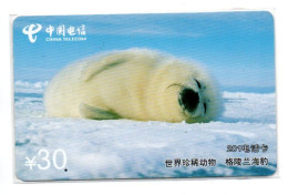 Phoque Seal Animal Télécarte Phonecard  (K 443) - China