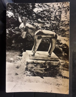 Dartington Hall Totnes Devon England,Bronze Donkey In The Hall Garden By Sculptor Willi Soukop Photo Fleming Hewett TB - Otros & Sin Clasificación