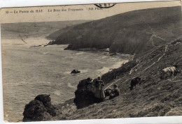 La Pointe Du Raz Baie Des Trepassés - La Pointe Du Raz