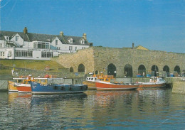 Seahouses Harbour - Northumberland, Unused Postcard - Otros & Sin Clasificación