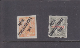 CSSR - CZECHOSLOVAKIA - 1919 -  * / MLH - HUNGARIAN NEWSPAPER AND EXPRESS STAMPS OVERPRINTED - Mi 113/4   Yv 112/3 - Nuevos