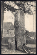 22 PLELAUFF - La Borne Devant Le Menhir Porte Une Croix Pattée - Otros & Sin Clasificación