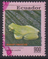 Orinoco Lime Tree Frog (Sphaenorhynchus Lacteus) - 1993 - Equateur