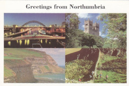 Greetings From Northumberland Multiview - Northumberland, Unused Postcard - Otros & Sin Clasificación