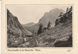 CPSM HAUTE VALLEE DE LA RESTONICA CORSE - Sonstige & Ohne Zuordnung