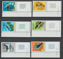 COMORES - 1971 - OISEAUX / BIRDS - SERIE COMPLETE YVERT N°63/68 ** MNH - COTE = 22 EUR - Nuovi