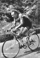 PHOTO CYCLISME REENFORCE GRAND QUALITÉ ( NO CARTE ), SILVIO PEDRONI TEAM NIVEA 1956 - Cyclisme