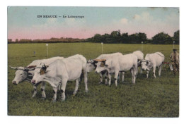 EN BEAUCE - Le Labourage - ATTELAGE DE 6 BOEUFS - Charrue - Colorisée - Animée - Teams