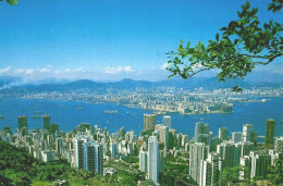 HONG KONG, China - Hong Kong & Kowloon From The Peak  ( 2 Scans ) - China (Hongkong)