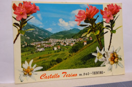 CASTEL  TESINO  --- TRENTO  --  M. 940 - Trento