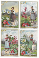 S 474, Liebig 6 Cards, Fleurs Alpines (spots On Backsides) (ref B9) - Liebig