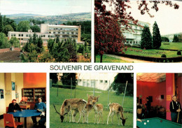 N°42084  Z -cpsm Souvenir De Gravenand - Souvenir De...