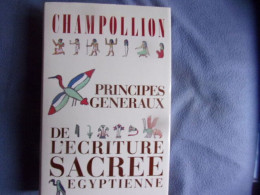 Principes Généraux De L'écriture Sacrée Egyptienne - Dictionaries