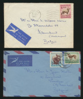 Afrika Südafrika 3 Briefe Mit EF Oder MIF Tiere Africa 3 Covers With Animals - Covers & Documents