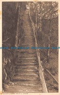 R116186 Jacobs Ladder. Devils Bridge. F. P. Lightfoot. RA - Monde