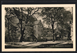 AK Leisnig, Blick Auf Schloss Mildenstein  - Leisnig