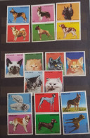 PARAGUAY 1984-1986 DOGS&CATS 3 SETS MNH - Hunde