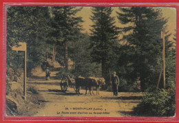 Carte Postale 42. Mont-Pilat  Attelage De Boeufs Sur La Route D'arrivée Du Grand-hôtel Très Beau Plan - Other & Unclassified