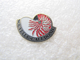 PIN'S      NOUVELLE CALÉDONIE   COQUILLAGE - Dieren